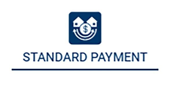 Standard Payment 